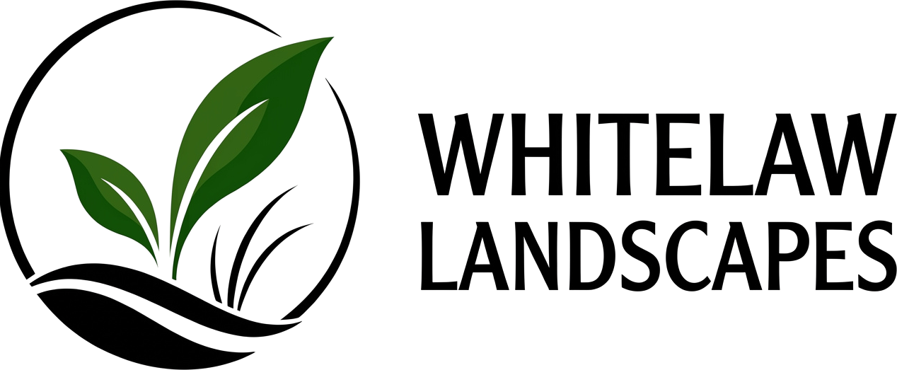 Logo 7